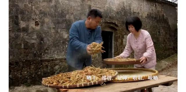 松花粉能和糯米粉一起煮吗,松花粉可以弄哪些美食