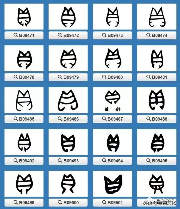 施汉字的艺术与中华姓氏文化,姓氏文化汉字艺术