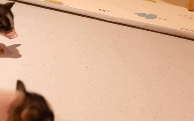 kfc鍏,kfc鍏鍜栧暋