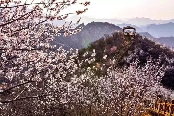 京郊四月美景,京郊四月