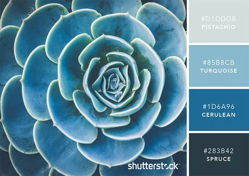 100个经典设计配色,设计师钟爱的9组高级感配色方案