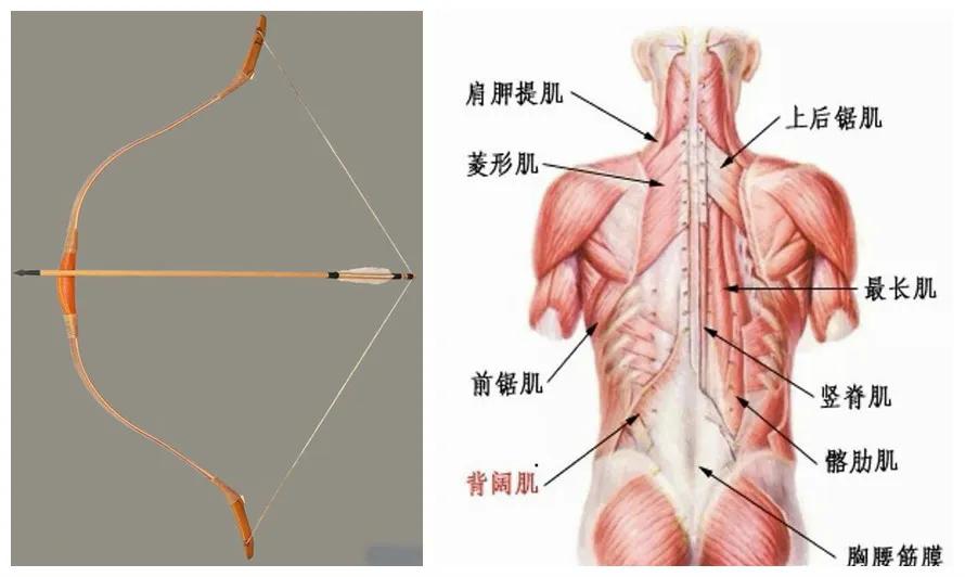 骨科专家讲解久坐的危害,每天做这个动作可以治愈腰椎