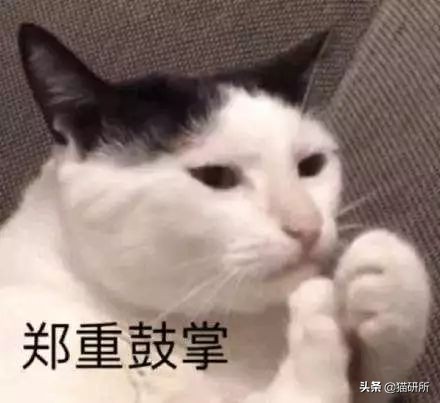 万里挑一加盟,万里挑一高手在哪里