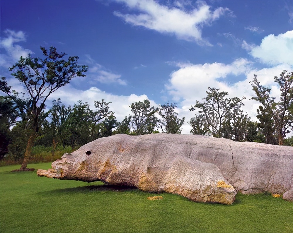 崇明岛西沙湿地公园视频,崇明西沙湿地公园芦苇荡