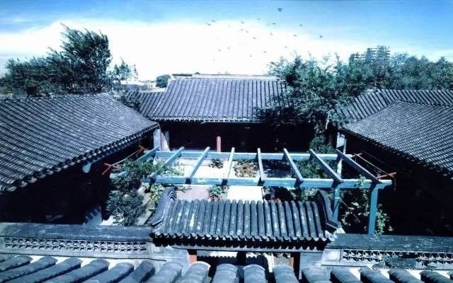 北京女孩拆迁后的自述,一个北京姑娘移民