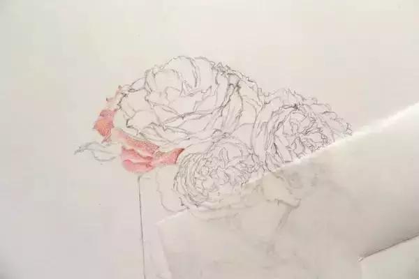 动漫手绘教程水溶彩铅上色技法,彩铅动物毛发技法绘画教程视频