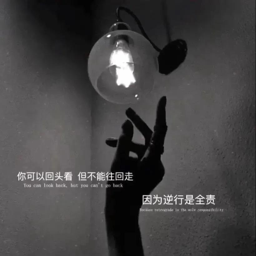 大自然治愈清新的背景图,文艺清新淡雅鲜花背景图