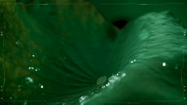 磁力按摩防水鞋,用强磁铁做摇步器