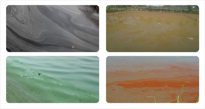 鱼塘油膜水怎么处理,养殖水体油膜多是什么原因造成的