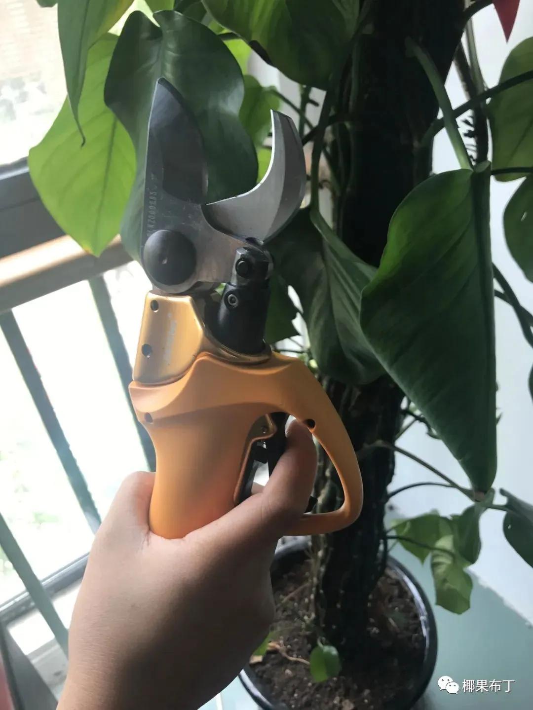 哪个品牌园艺剪刀好一点耐用,什么牌子的进口园艺剪刀最好