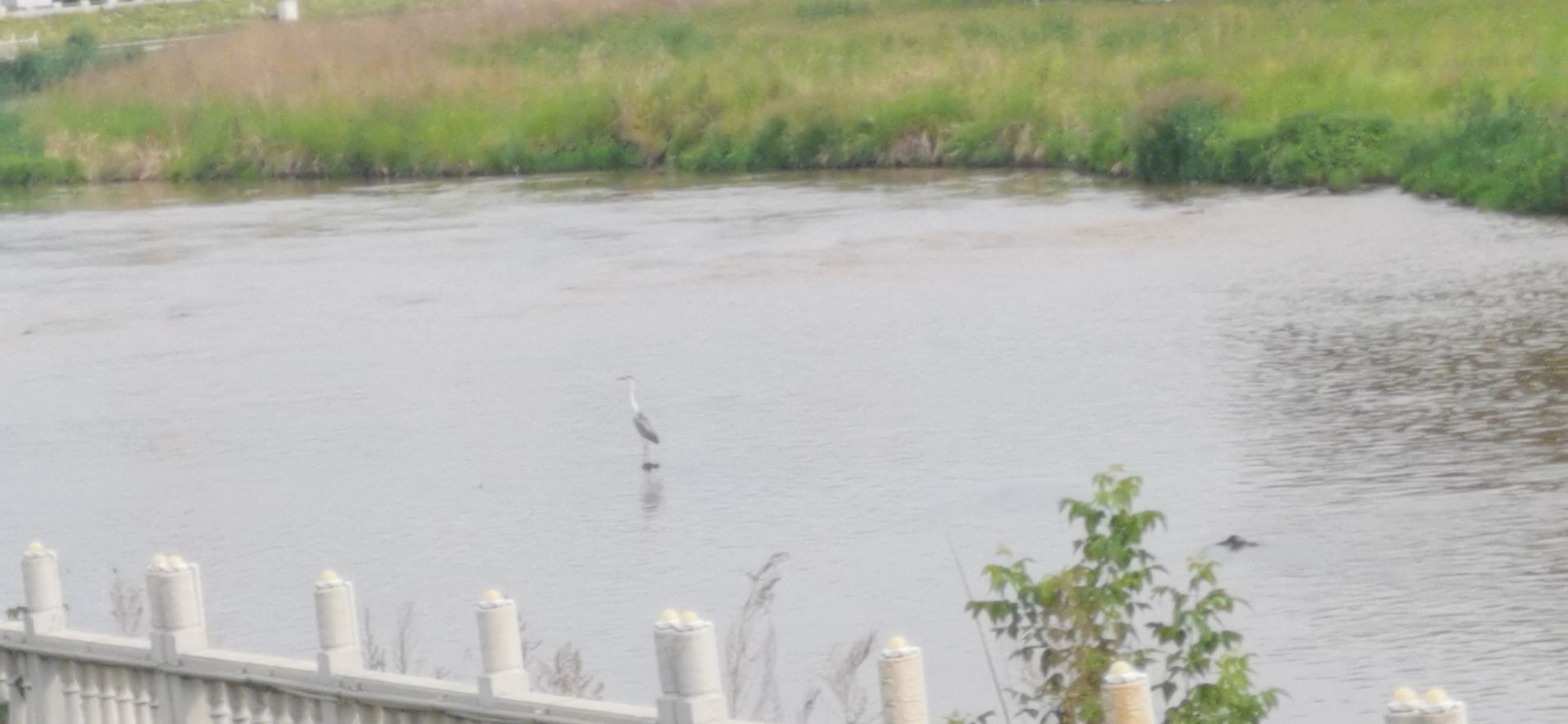 神奇的旅游城市,神奇的市区