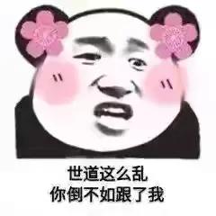 想撩我没那么容易该怎么回,撩对象沙雕表情包