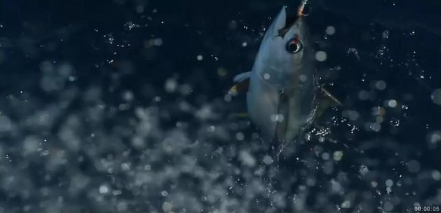 视频剪辑100个技巧剪映,视频剪辑素材提取100个技巧