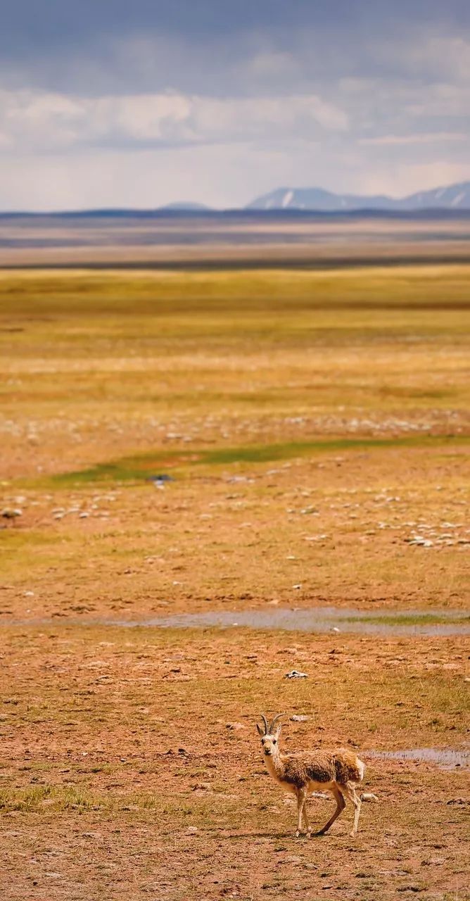 世界一生必去的56个最美的地方,一生必去五十个最美的地方