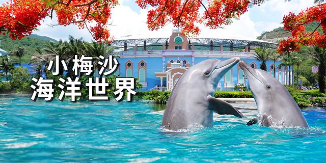 深圳生日怎么过得有创意又省钱,深圳生日去哪过更省钱