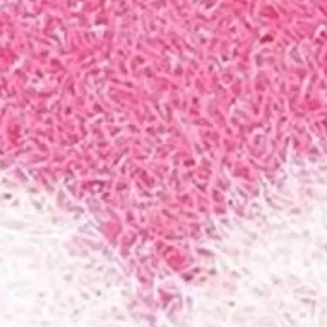 情人节朋友圈九宫格拼图模板,情人节心形九宫格图片