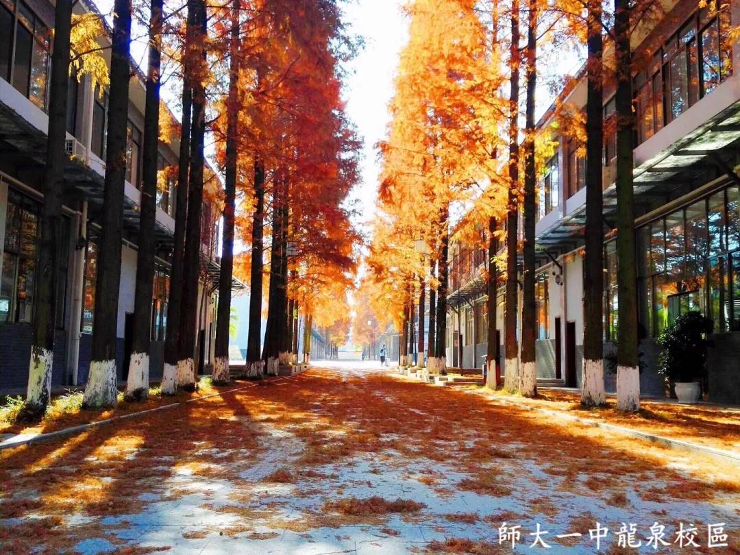 质疑不断应该怎么办,师大一中有几个校区