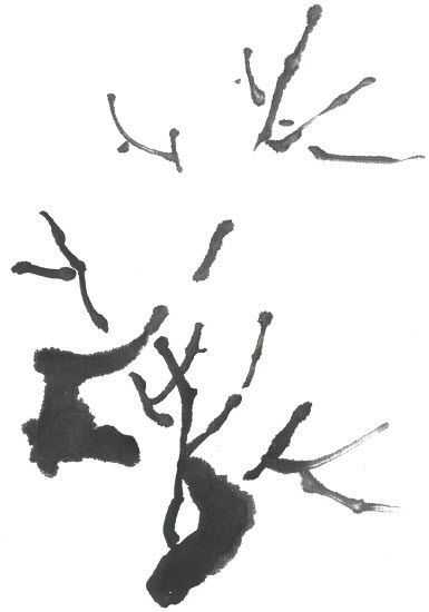 国画梅花上的雪画法步骤教程视频,零基础国画入门画梅花教程