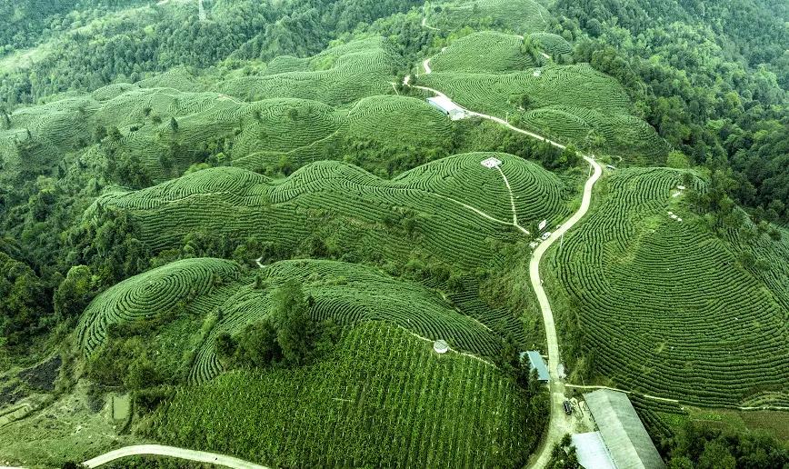 澶х鏃呮父鏅偣澶у叏鎺ㄨ崘,鎺㈠澶╁簻鏃呮父鍚嶉晣