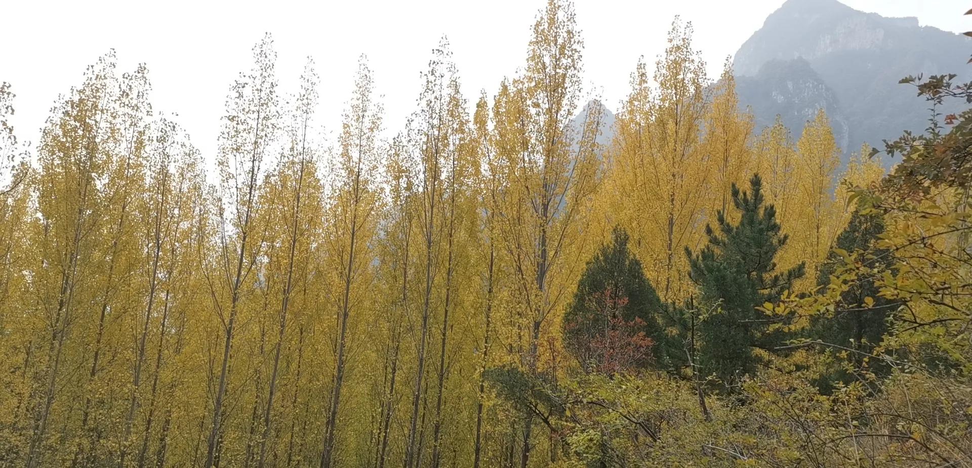 10.我的被离职道路（记如何被单位套路的血泪史过程）