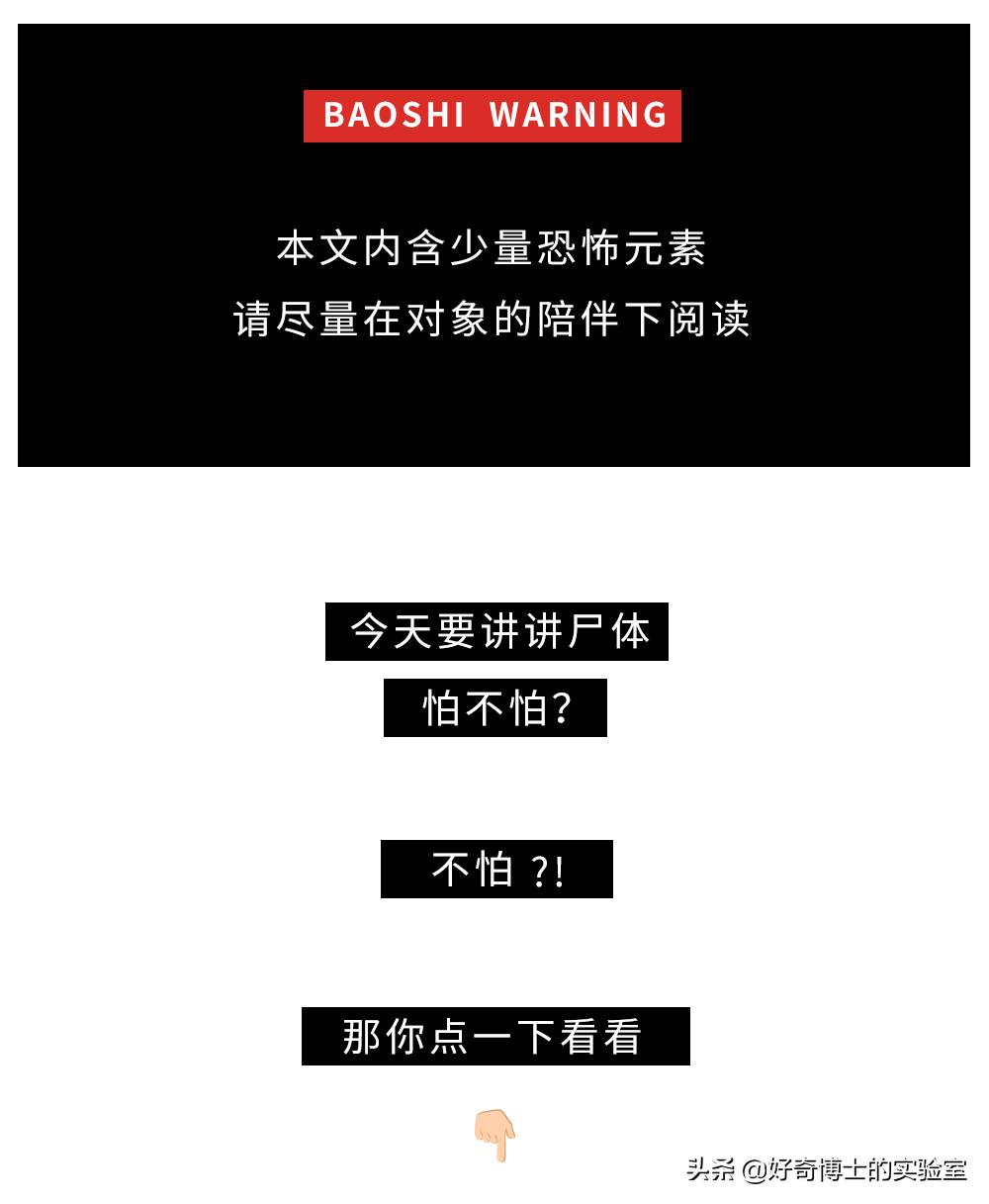 没有人比我更懂原话英文,没有人比我更懂鬼畜原版