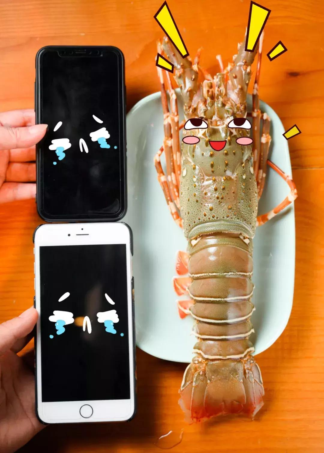 鸡煲界中的LV，澳洲龙虾做配菜，嗦一口就管不住嘴！