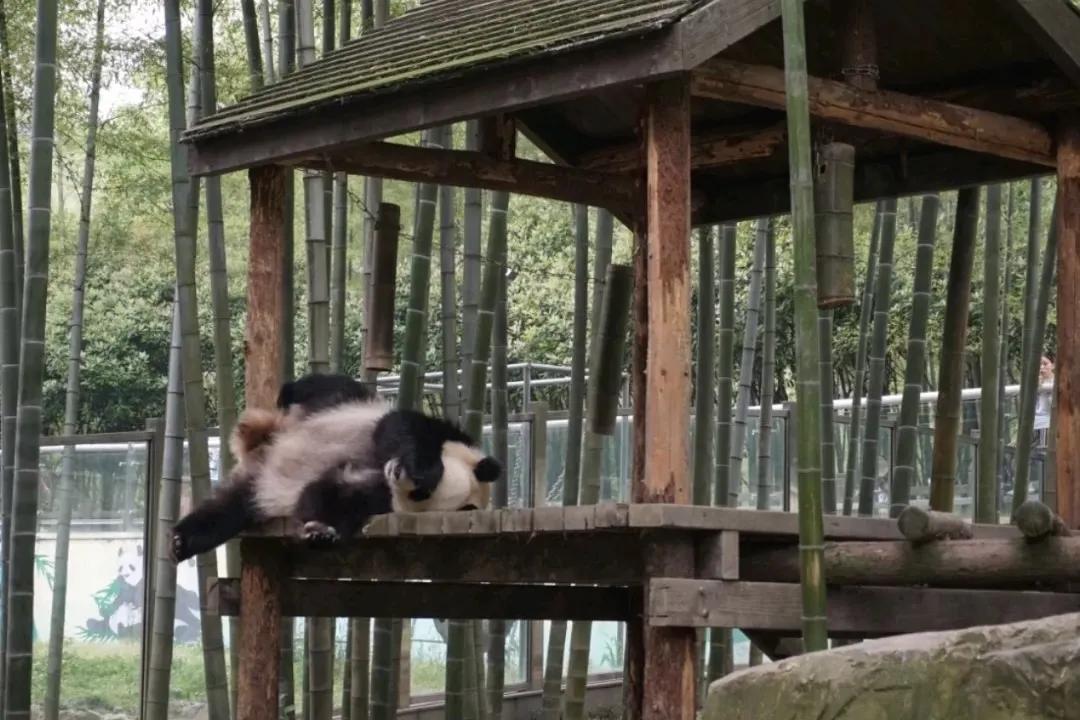 江浙沪冬日温泉泡汤周走起,春节江浙沪2-3天短途旅游温泉