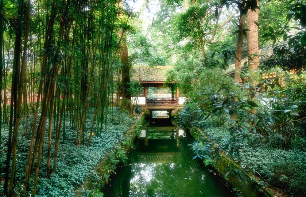 两个黄鹂鸣翠柳是什么行为,两个黄鹂鸣翠柳解释幼儿园