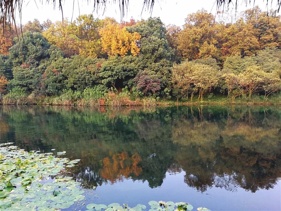 安缦法云民宿,法云安缦让心安静