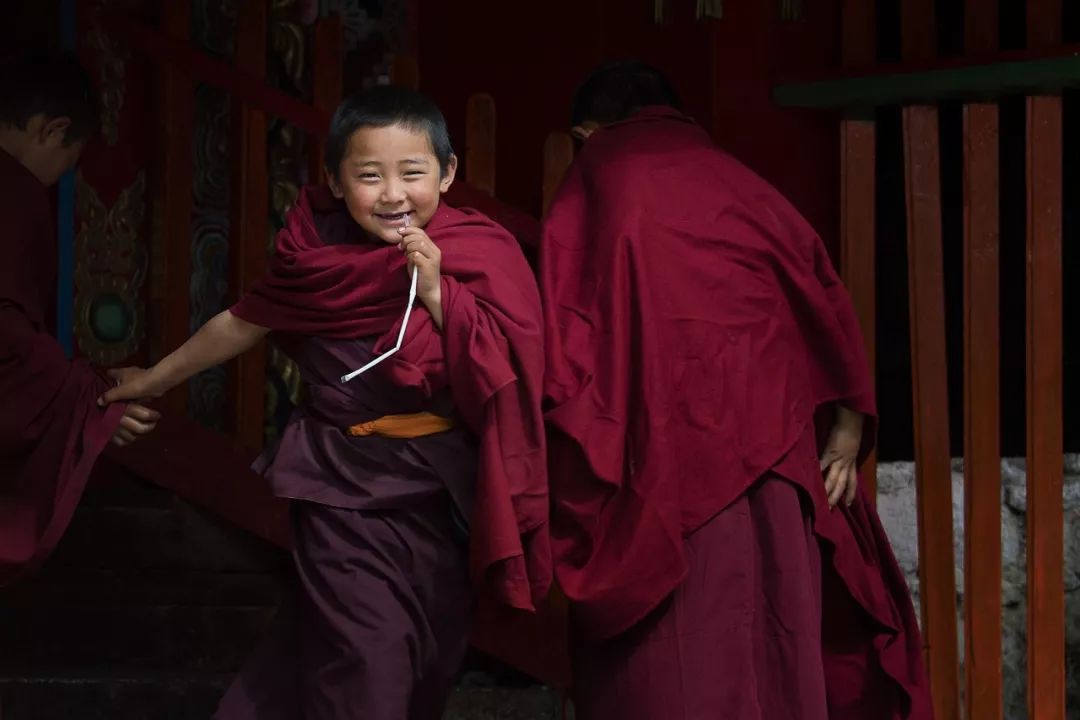 国民硬菜,国民硬菜土豆丝