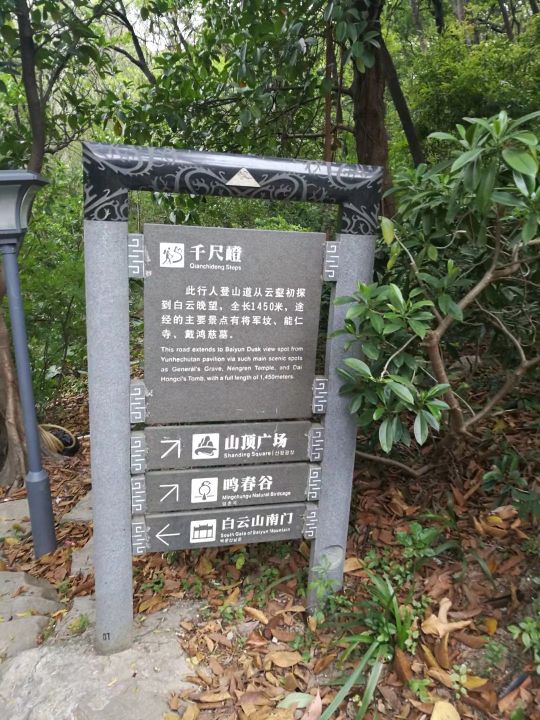 广州白云山游记作文,难忘的旅行广州白云山