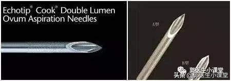 郑爽被曝隐婚、代孕，为什么那么多女明星选择代孕