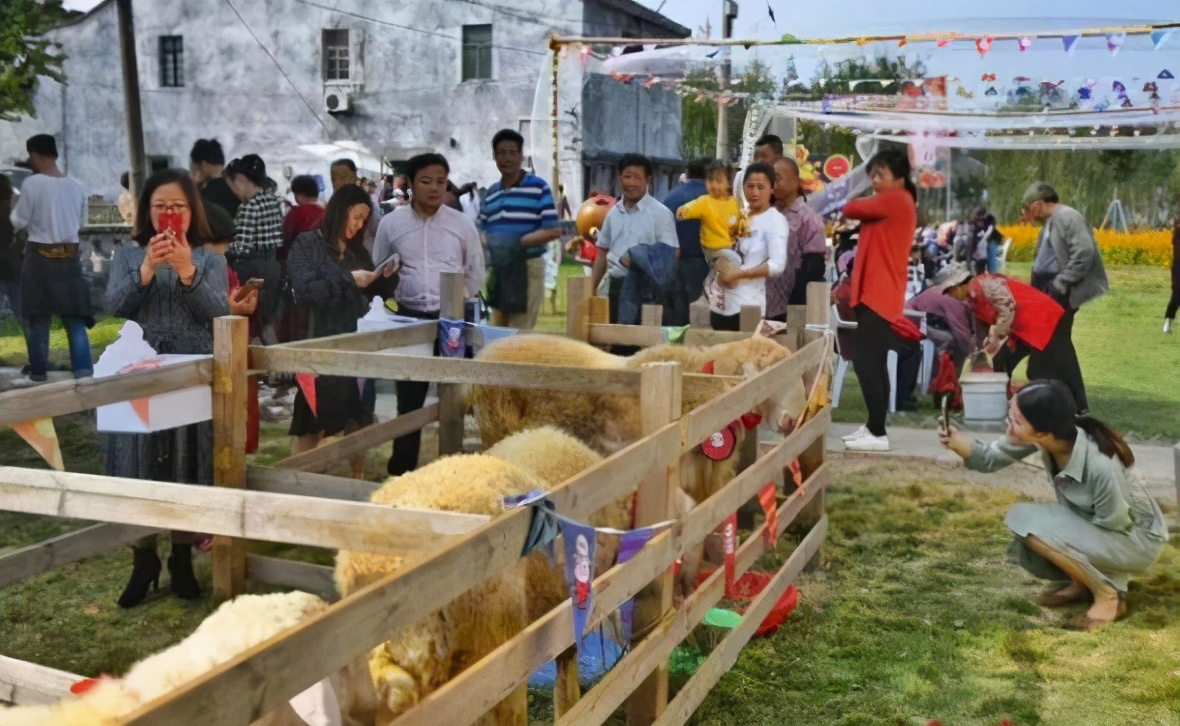 太湖之畔的历史名城,饱含了江南百姓对羊肉风味的执念