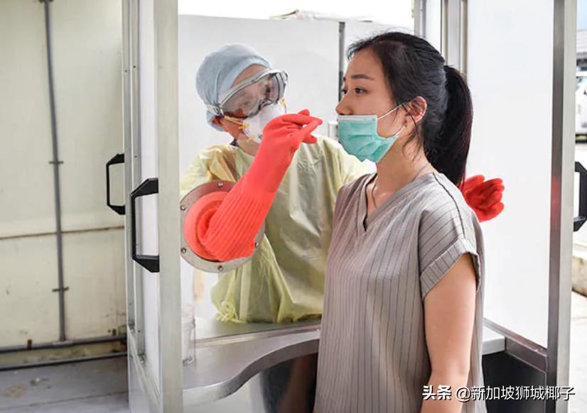 “神秘公司”淡马锡年度报告来啦！投资了辉瑞、元气森林和Shopee