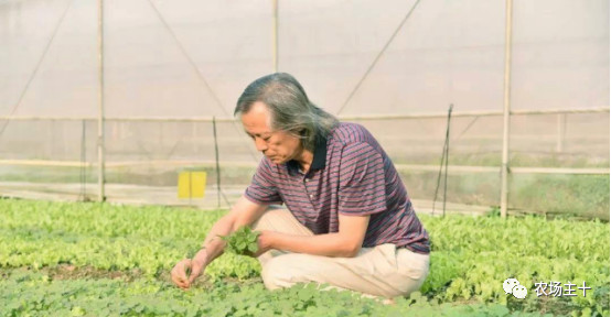 危机四伏！那个最早进场年入3000万的有机农场到底怎么了