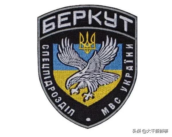 世界十大，不不不！是十支特种作战力量图赏