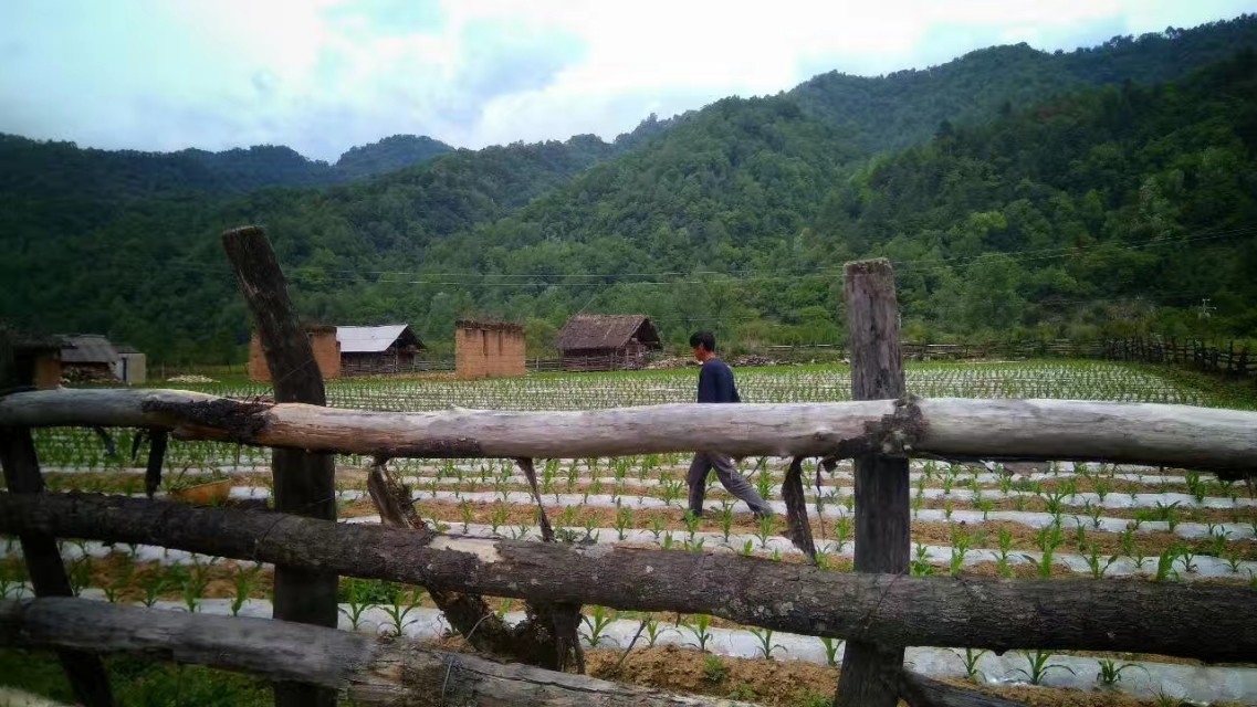 西安秦岭山下世外桃源,秦岭深处世外桃源图片