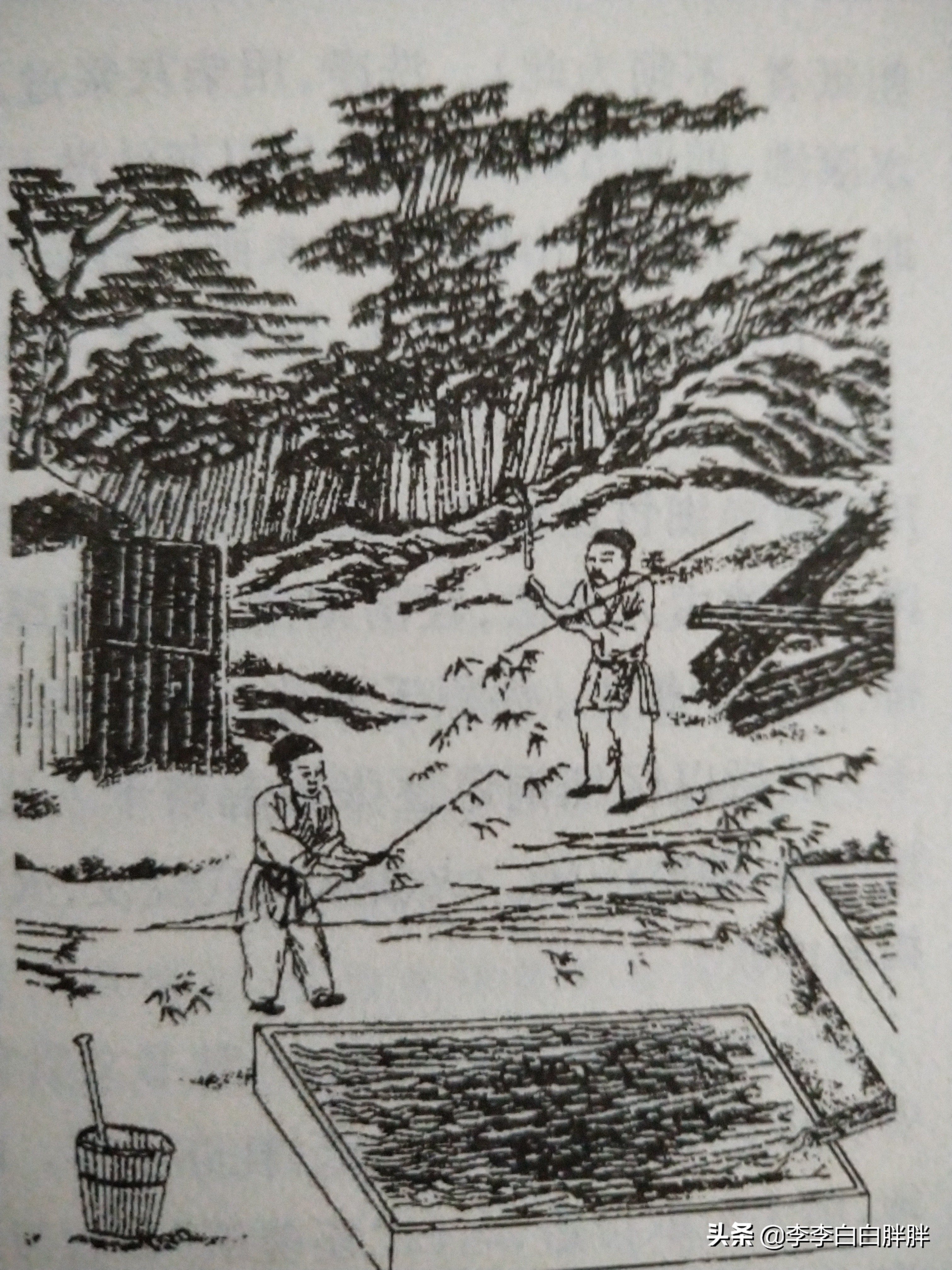 杀青由竹简工序的演变，现也指制茶工序、影视定稿初成等