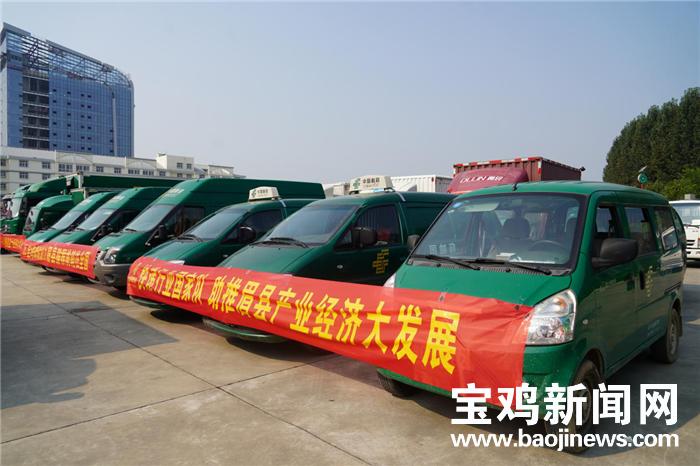 宝鸡眉县冬天猕猴桃树,猕猴桃宝鸡眉县