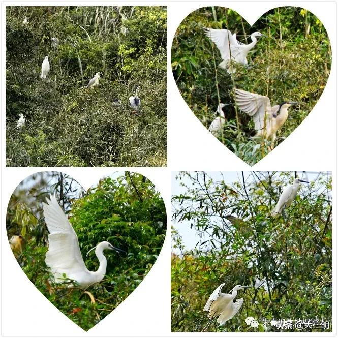 家在景区,家在公园旁是一种怎样的体验