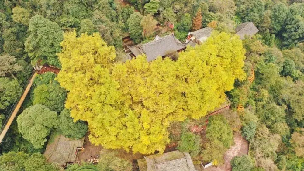 雅安旅行攻略亲子游,雅安市旅行攻略自由行路线