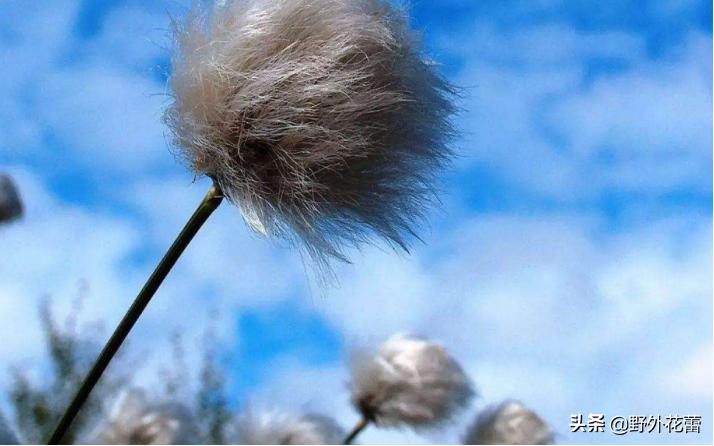 一个人突然不想做老好人了,不做老好人的善良