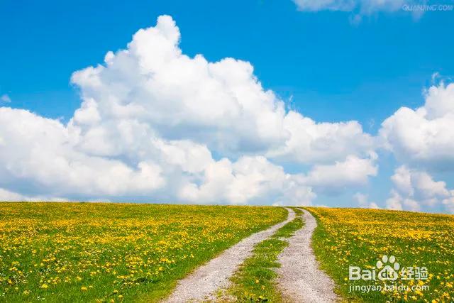 规划好自己的人生句子文案,离婚后应该怎么规划自己的人生