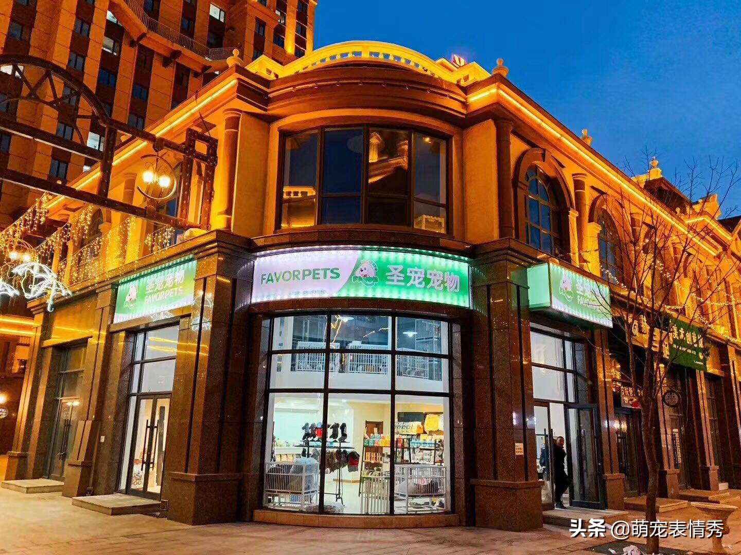 开宠物店需要具备的条件,中端宠物店前期需要多少钱