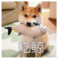 你的博士后文凭还好吗?赶紧来领取岛国给你的----正义学历