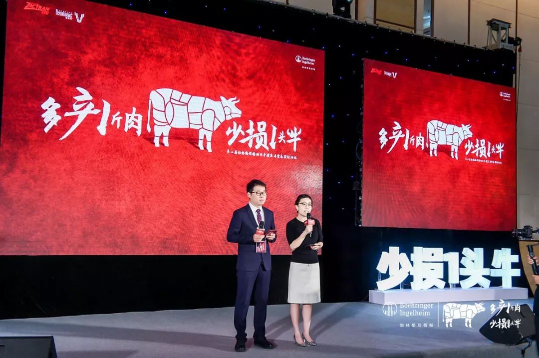 这一次，风口上站的是肉牛