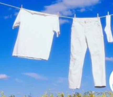 杨梅酸甜可口，但把杨梅汁弄到衣服上怎么办？这6种方法你用过吗?