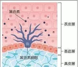 男生脸上的雀斑怎样快速去掉,小孩脸上有雀斑怎样才能去掉