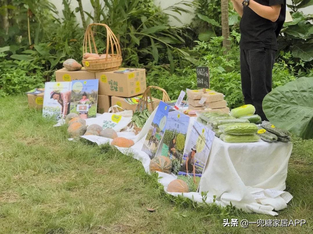 绉嶈崏鐢熸椿鏂瑰紡,绉嶈崏缁囧竷