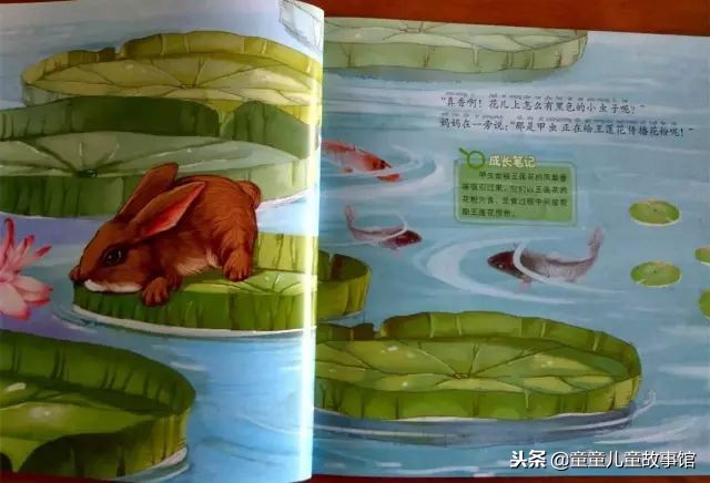 花儿的媒人绘本故事,儿童绘本故事春天的故事